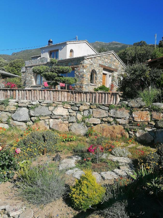 Logement De Charme Avec Piscine Privative Pino Exterior photo