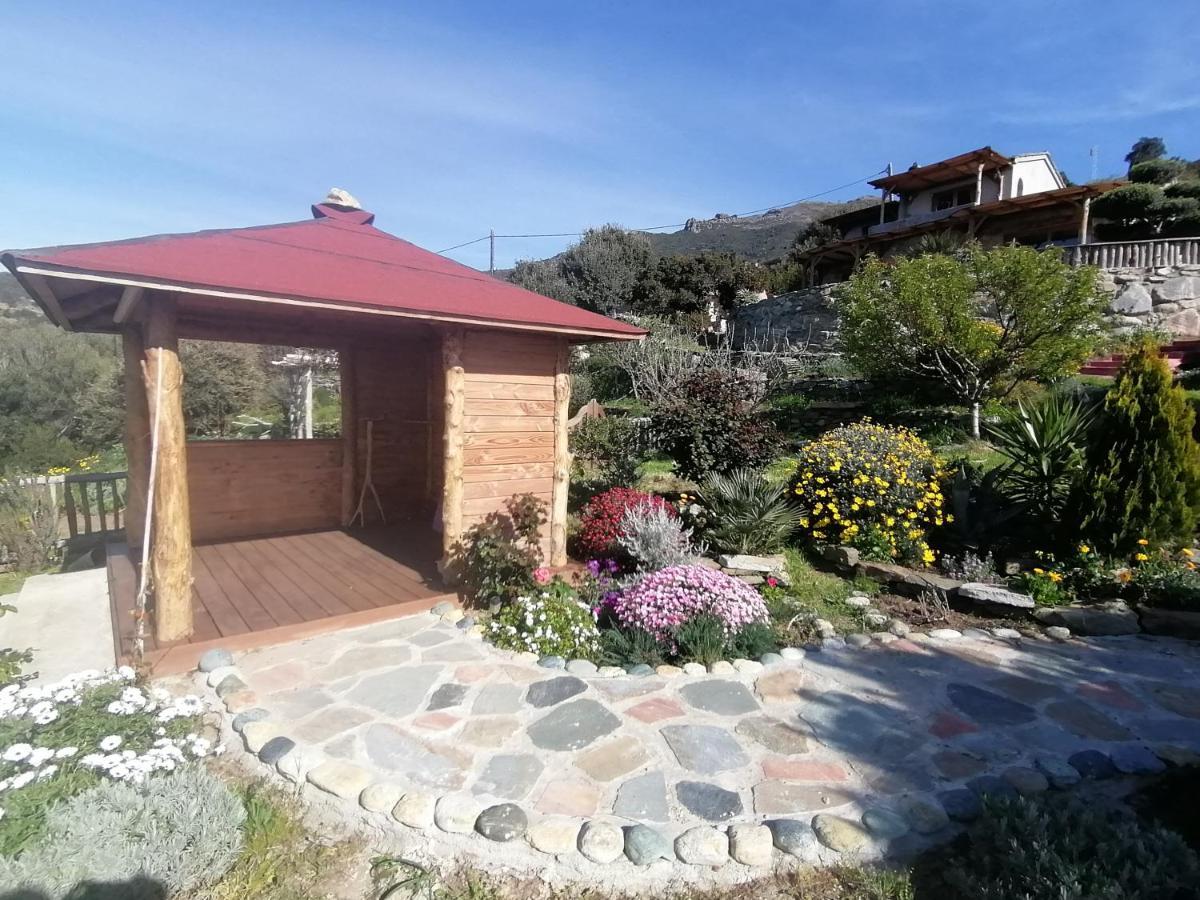 Logement De Charme Avec Piscine Privative Pino Exterior photo